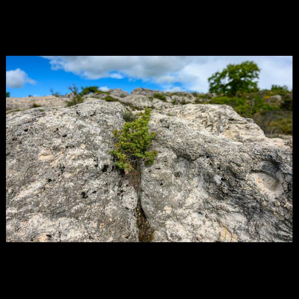 PHOTO84, CLUB, 84 , LUBERON